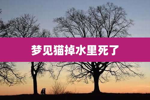 梦见猫掉水里死了