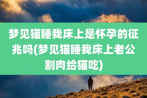 梦见猫睡我床上是怀孕的征兆吗(梦见猫睡我床上老公割肉给猫吃)