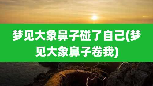 梦见大象鼻子碰了自己(梦见大象鼻子卷我)