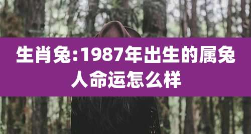 生肖兔:1987年出生的属兔人命运怎么样