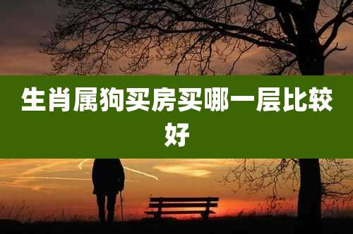 生肖属狗买房买哪一层比较好