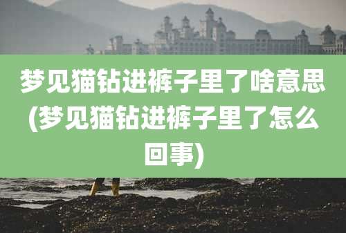 梦见猫钻进裤子里了啥意思(梦见猫钻进裤子里了怎么回事)