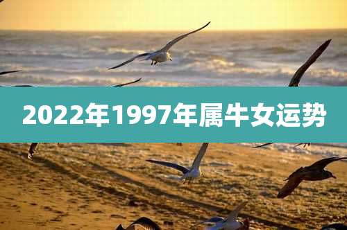 2022年1997年属牛女运势