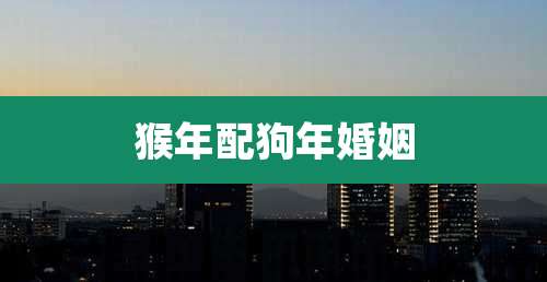 猴年配狗年婚姻