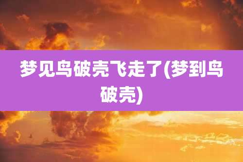梦见鸟破壳飞走了(梦到鸟破壳)