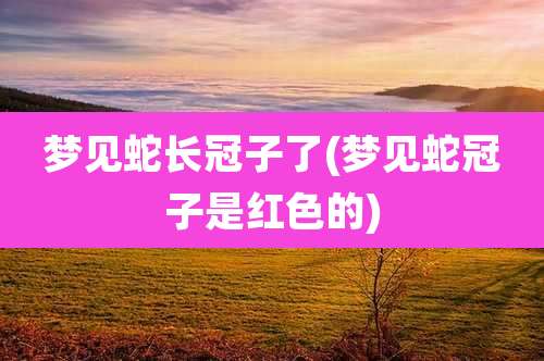 梦见蛇长冠子了(梦见蛇冠子是红色的)