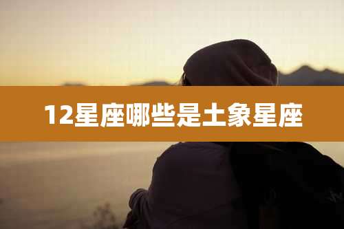 12星座哪些是土象星座