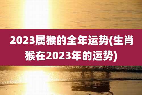 2023属猴的全年运势(生肖猴在2023年的运势)