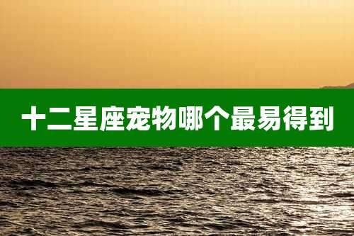 十二星座宠物哪个最易得到