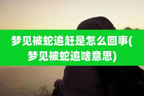 梦见被蛇追赶是怎么回事(梦见被蛇追啥意思)