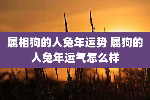 属相狗的人兔年运势 属狗的人兔年运气怎么样