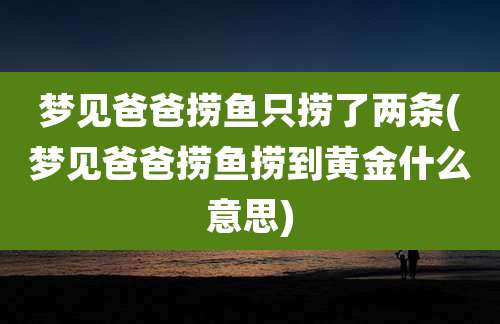 梦见爸爸捞鱼只捞了两条(梦见爸爸捞鱼捞到黄金什么意思)