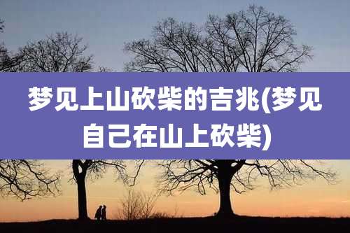 梦见上山砍柴的吉兆(梦见自己在山上砍柴)