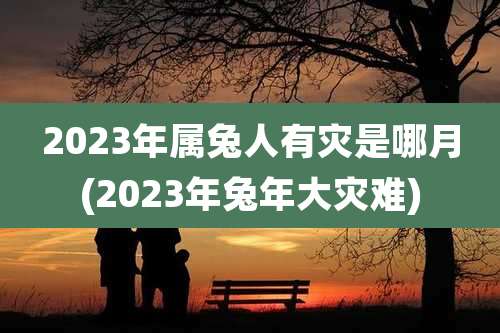 2023年属兔人有灾是哪月(2023年兔年大灾难)