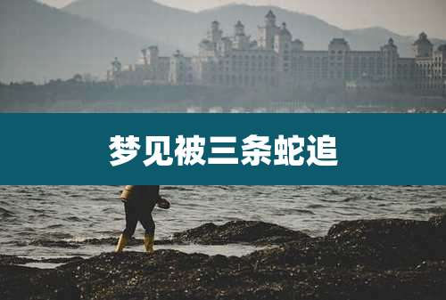 梦见被三条蛇追