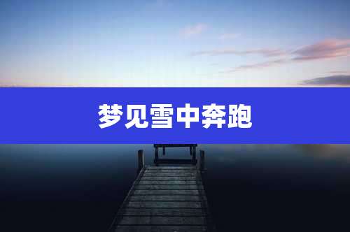 梦见雪中奔跑