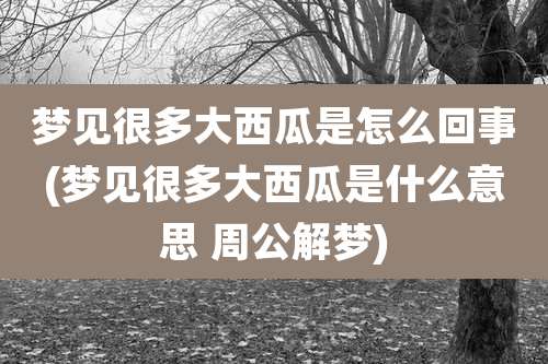 梦见很多大西瓜是怎么回事(梦见很多大西瓜是什么意思 周公解梦)
