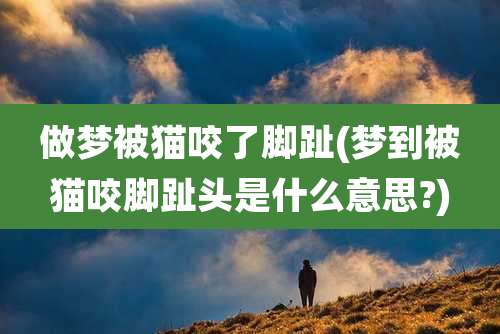 做梦被猫咬了脚趾(梦到被猫咬脚趾头是什么意思?)