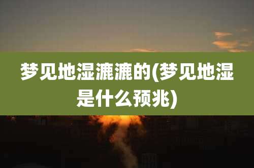 梦见地湿漉漉的(梦见地湿是什么预兆)