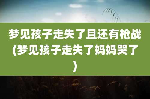 梦见孩子走失了且还有枪战(梦见孩子走失了妈妈哭了)