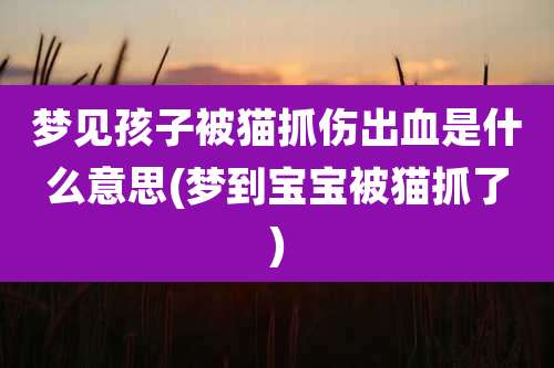 梦见孩子被猫抓伤出血是什么意思(梦到宝宝被猫抓了)