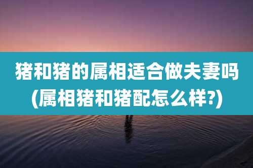 猪和猪的属相适合做夫妻吗(属相猪和猪配怎么样?)
