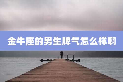 金牛座的男生脾气怎么样啊