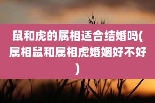 鼠和虎的属相适合结婚吗(属相鼠和属相虎婚姻好不好)