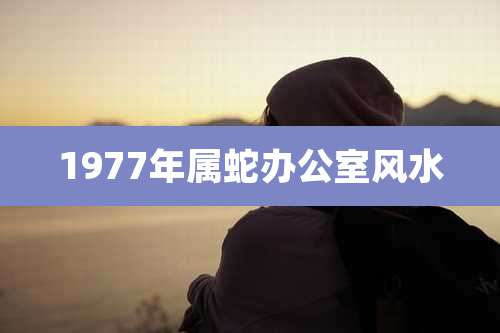 1977年属蛇办公室风水