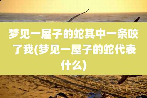梦见一屋子的蛇其中一条咬了我(梦见一屋子的蛇代表什么)