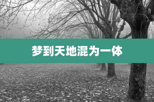 梦到天地混为一体