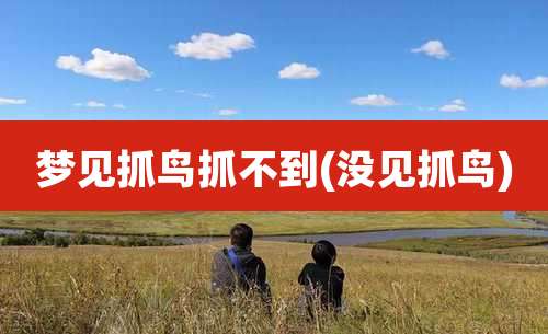 梦见抓鸟抓不到(没见抓鸟)