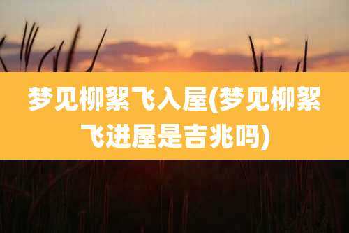 梦见柳絮飞入屋(梦见柳絮飞进屋是吉兆吗)