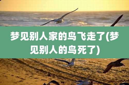 梦见别人家的鸟飞走了(梦见别人的鸟死了)