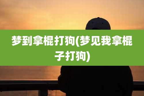 梦到拿棍打狗(梦见我拿棍子打狗)