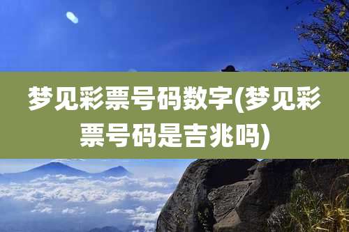 梦见彩票号码数字(梦见彩票号码是吉兆吗)