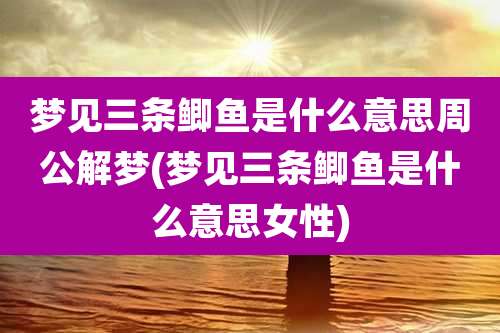 梦见三条鲫鱼是什么意思周公解梦(梦见三条鲫鱼是什么意思女性)