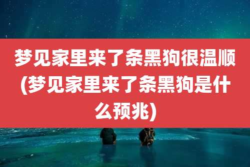 梦见家里来了条黑狗很温顺(梦见家里来了条黑狗是什么预兆)