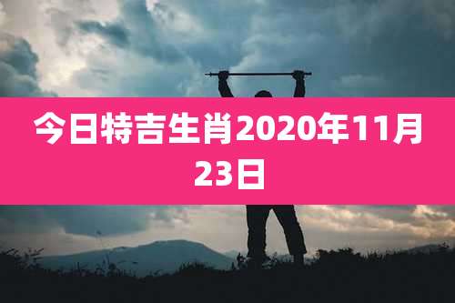 今日特吉生肖2020年11月23日
