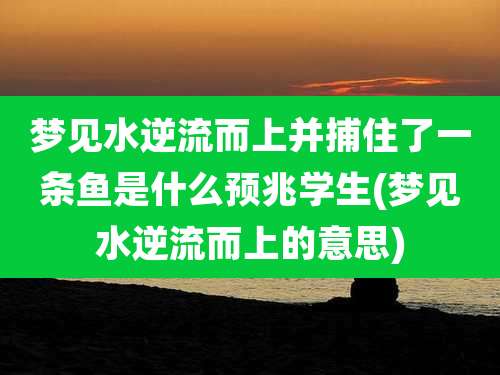 梦见水逆流而上并捕住了一条鱼是什么预兆学生(梦见水逆流而上的意思)