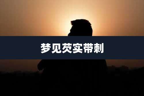 梦见芡实带刺
