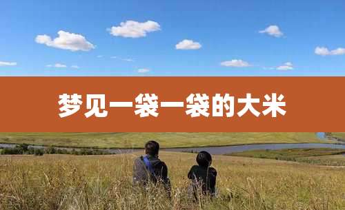 梦见一袋一袋的大米