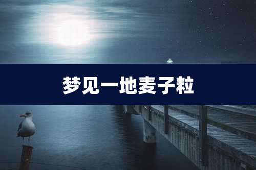梦见一地麦子粒