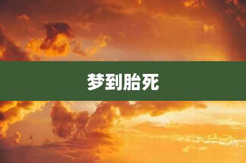 梦到胎死