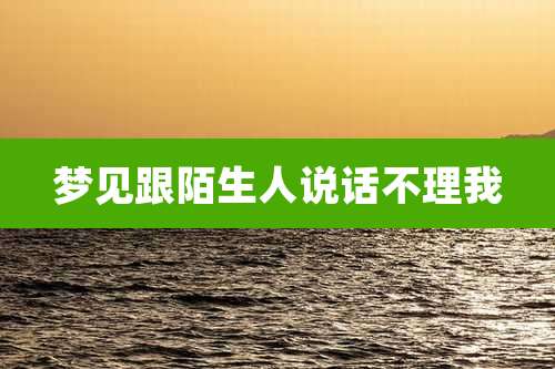 梦见跟陌生人说话不理我