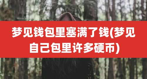梦见钱包里塞满了钱(梦见自己包里许多硬币)