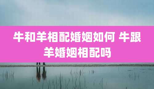 牛和羊相配婚姻如何 牛跟羊婚姻相配吗