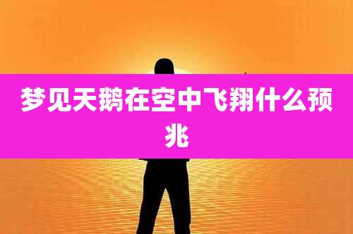 梦见天鹅在空中飞翔什么预兆