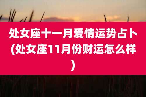 处女座十一月爱情运势占卜(处女座11月份财运怎么样)