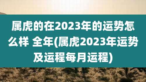 属虎的在2023年的运势怎么样 全年(属虎2023年运势及运程每月运程)